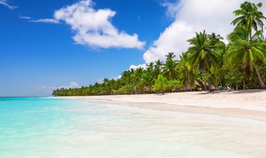 🌊 Saona Island Tour from Punta Cana: Complete 2026 Guide (Prices, Tips & What to Expect)